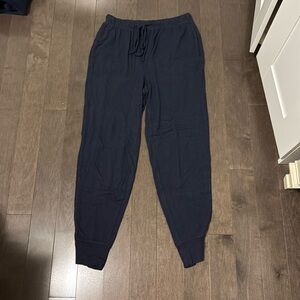 Aerie navy jogger
